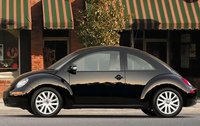 Beetle Beetle
