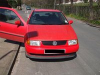 Polo Polo