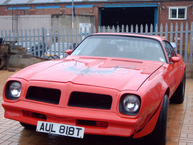 1976 Pontiac Firebird - Pictures - Cargurus