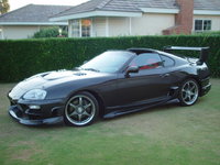 Supra Supra