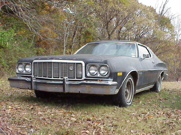 Wheel well molding 72 ford gran torino