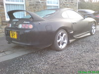 Supra Supra