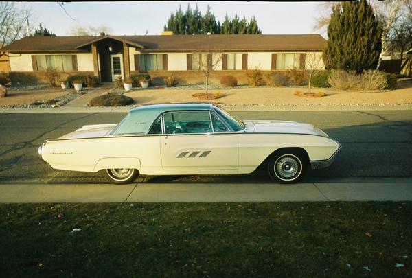 1981 Ford thunderbird specifications #5