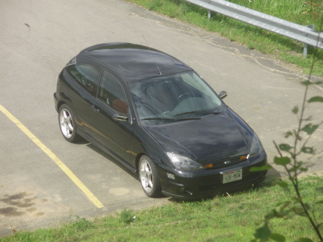 focus 2003 svt