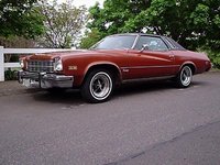 1975 Buick Regal Overview