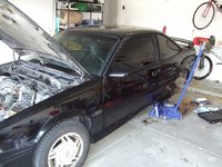 Cavalier Cavalier