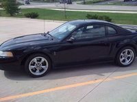 Mustang SVT Cobra Mustang SVT Cobra