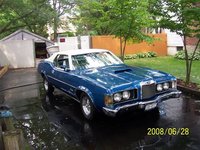 Cougar Cougar