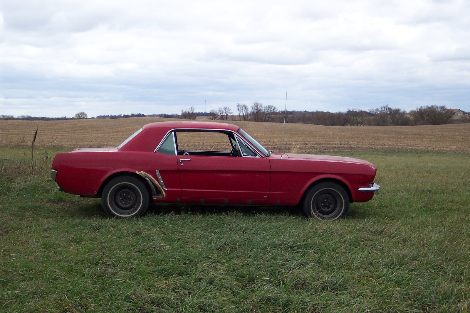 1965 Ford mustang fastback cammer price #6