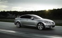 XF XF