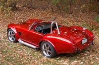 Cobra Cobra