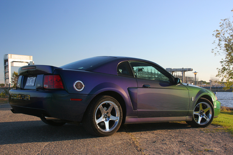 2004 Ford mustang supercharged #7