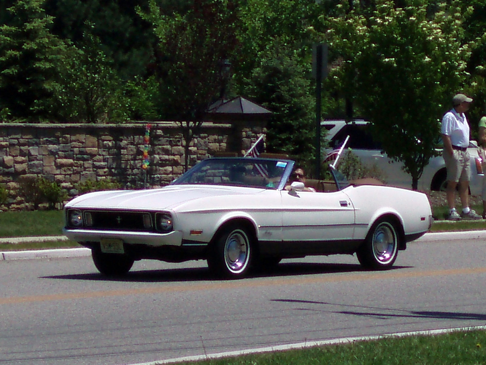 1973 Ford mustang mach 1 convertible sale #10