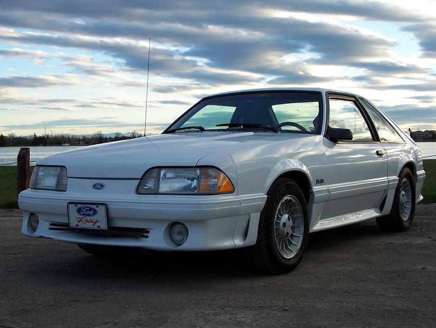 Whitey's ford shelby #3