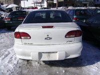 Cavalier Cavalier