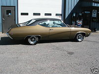 Skylark Skylark