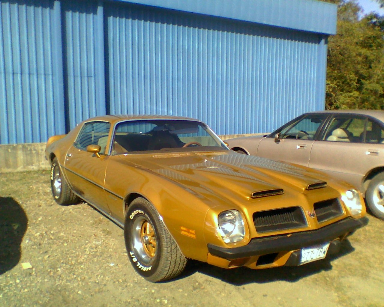 1974 Pontiac Firebird - Pictures - CarGurus