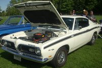 Barracuda Barracuda