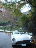 Thunderbird Thunderbird