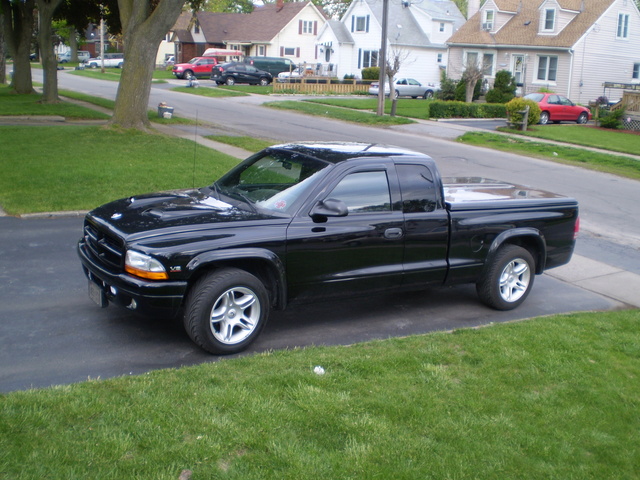 1999 Dodge Dakota Pictures Cargurus