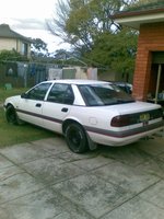 Falcon Falcon