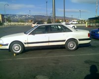 V8 V8