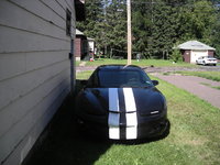 Firebird Firebird