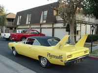 Superbird Superbird