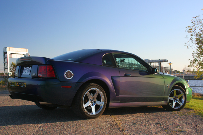 2004 Ford cobra specs #2