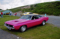 Barracuda Barracuda