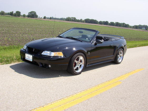 1999 Ford mustang cobra specifications #10