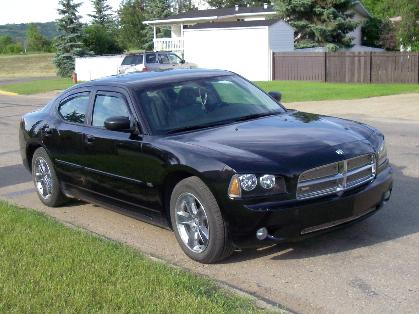 lay betting systems 2006 dodge