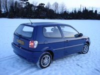 Polo Polo