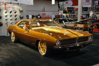 Barracuda Barracuda