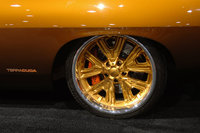 Barracuda Barracuda