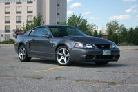 Mustang SVT Cobra