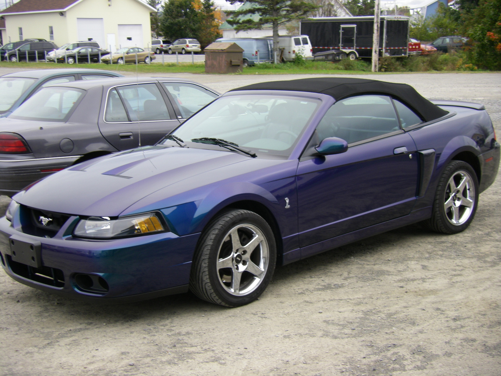 2003 Ford mustang svt cobra supercharged #2