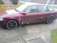Vectra Vectra