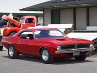 Barracuda Barracuda