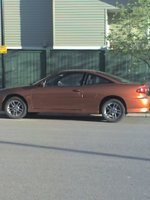 Cavalier Cavalier