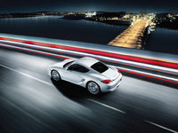 Cayman Cayman