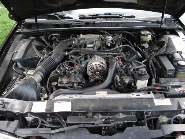 1996 Ford thunderbird check engine #5