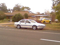 Falcon Falcon