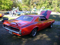 Cougar Cougar