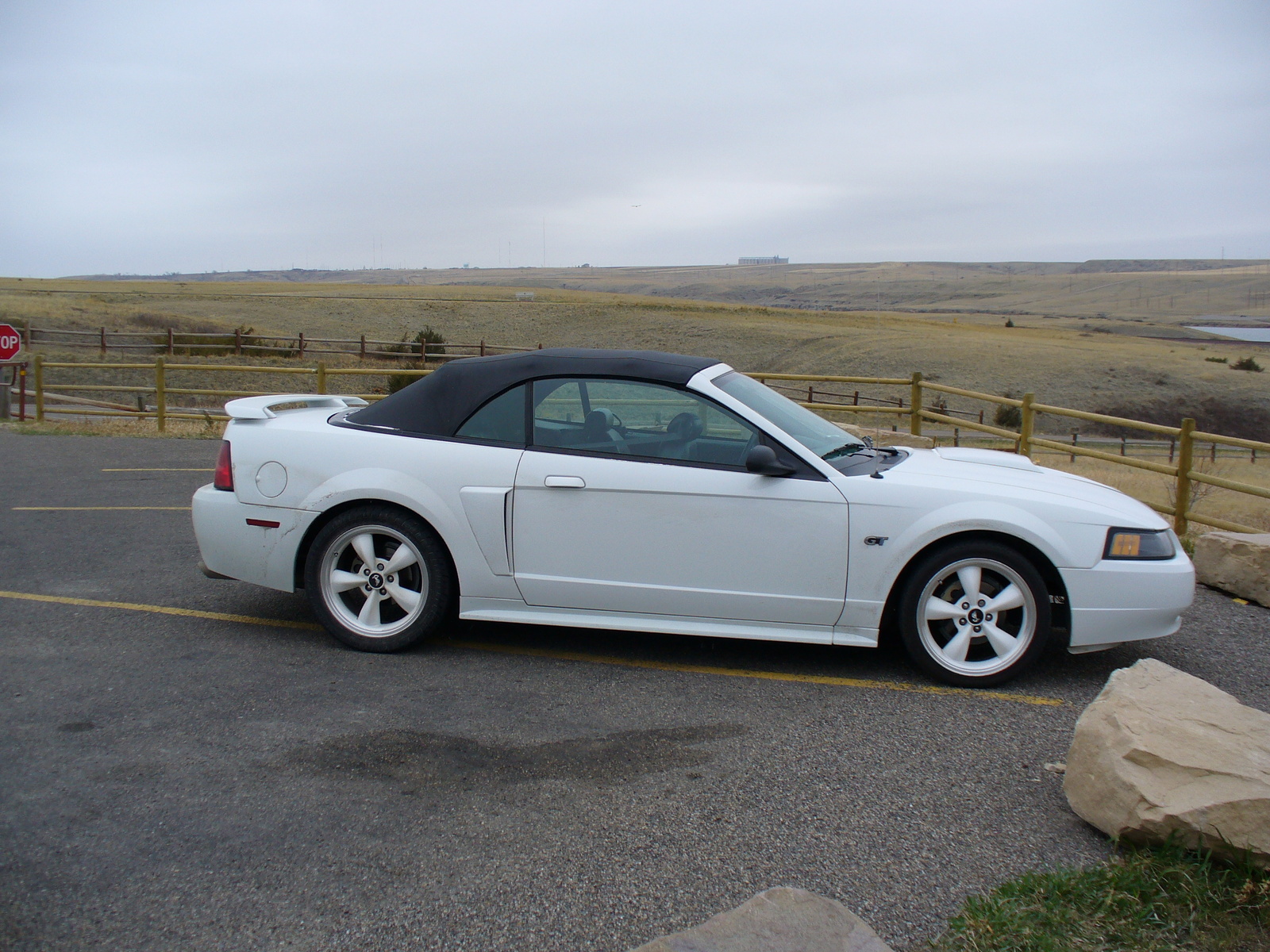 2003 Ford mustang gt deluxe #4