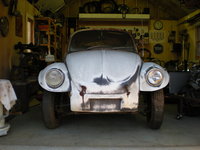 Super Beetle Super Beetle