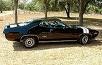 Road Runner Road Runner