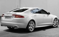 XF XF