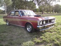 Falcon Falcon