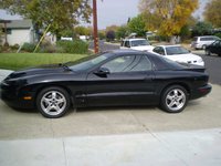 Firebird Firebird